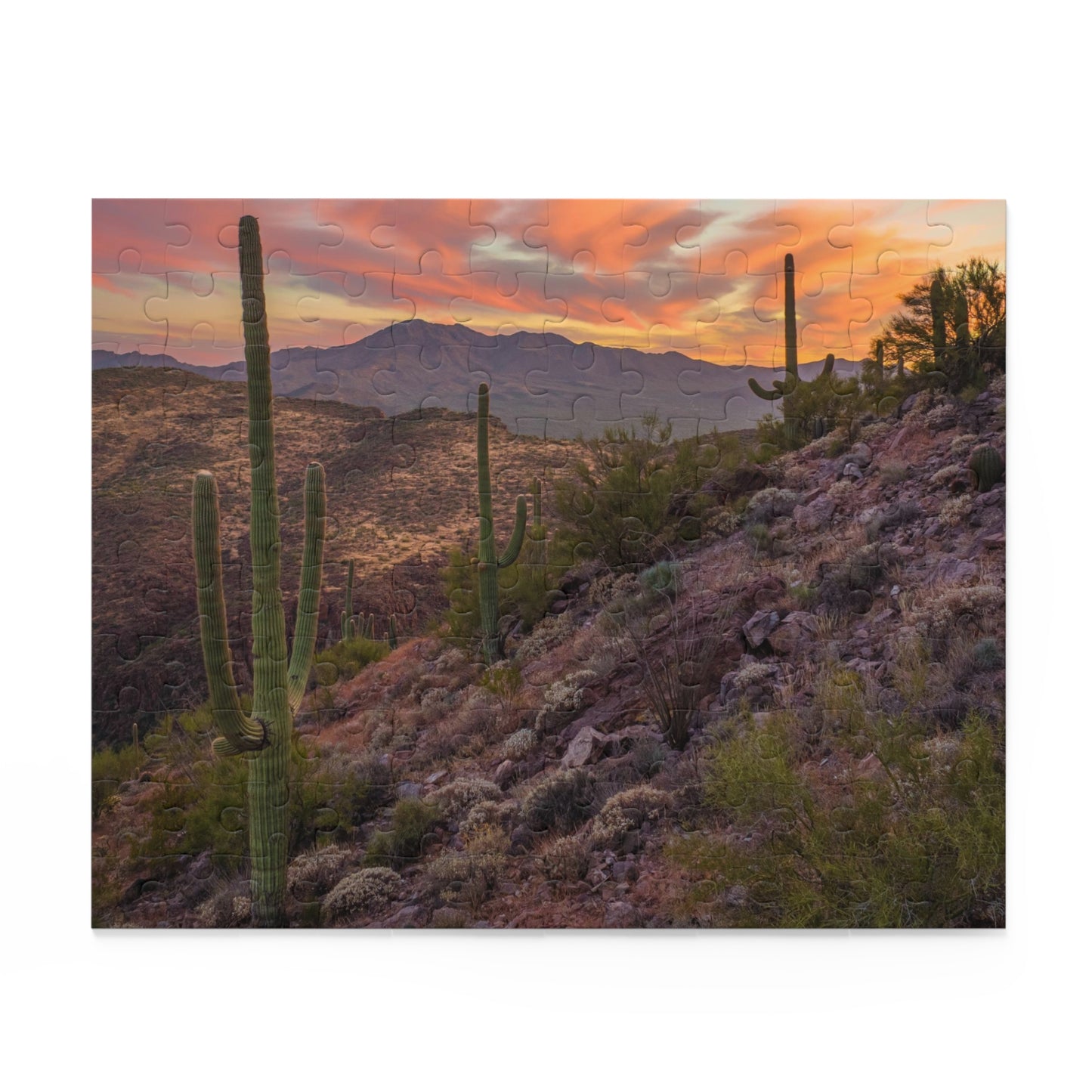 Arizona Desert Puzzle (120, 252, 500-Piece)