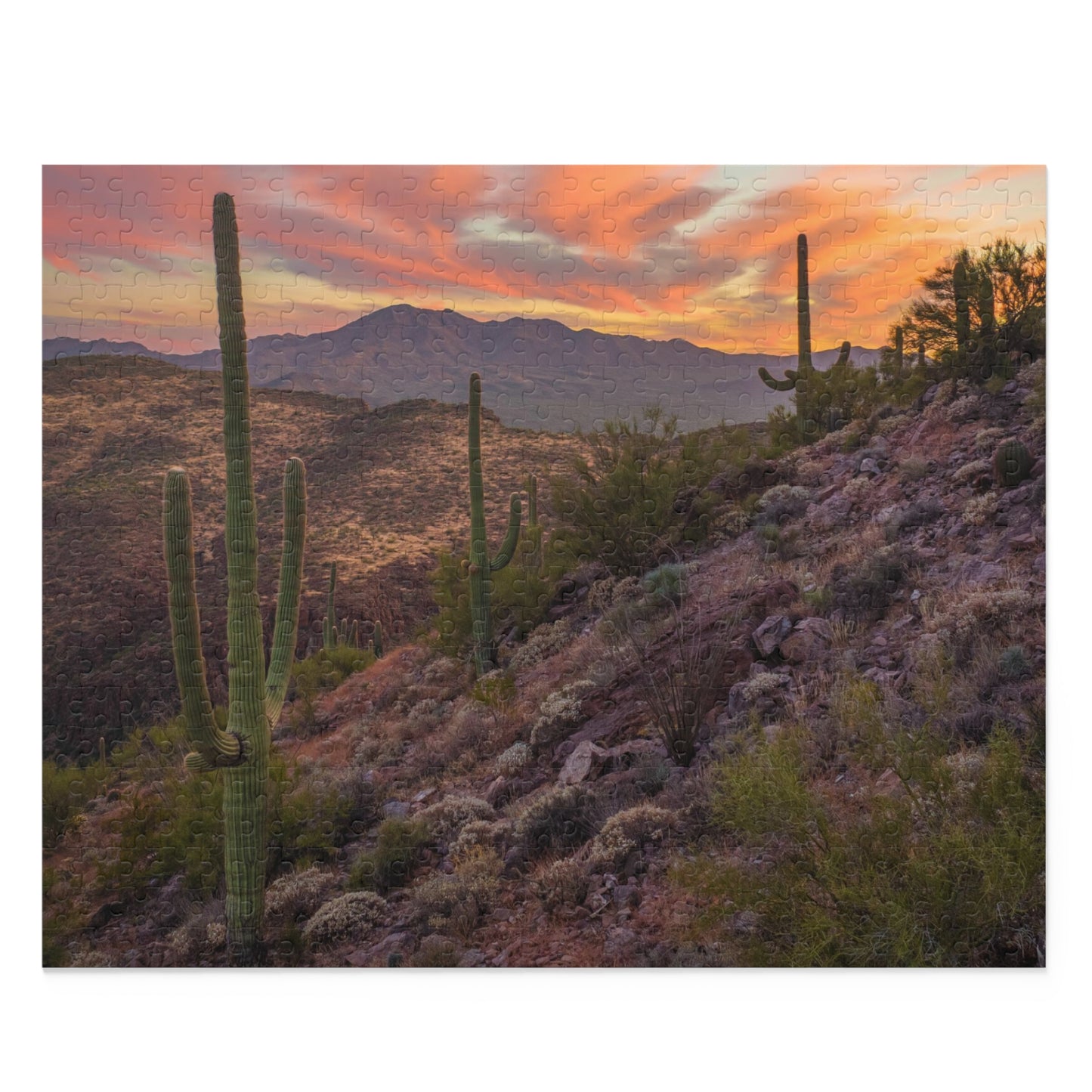 Arizona Desert Puzzle (120, 252, 500-Piece)